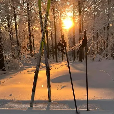 Hotel & Edelweiss Willingen (Upland)