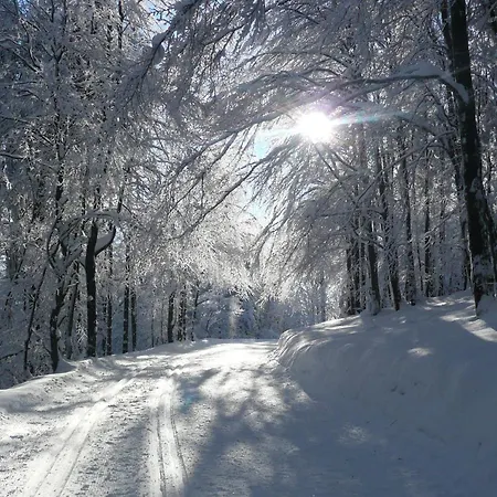 & Ferienappartements Edelweiss Hotel 4*