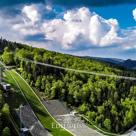 Hotel & Edelweiss Willingen (Upland)