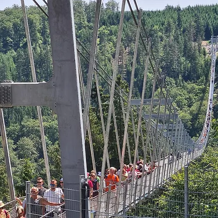 & Edelweiss Hotel Willingen (Upland)