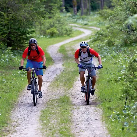 Hotel & Edelweiss 4*