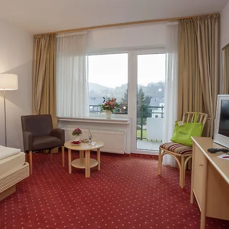 & Edelweiss Hotel Willingen (Upland)