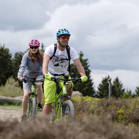 Hotel & Edelweiss Willingen (Upland)