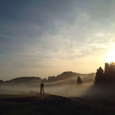 & Edelweiss Hotel 4*