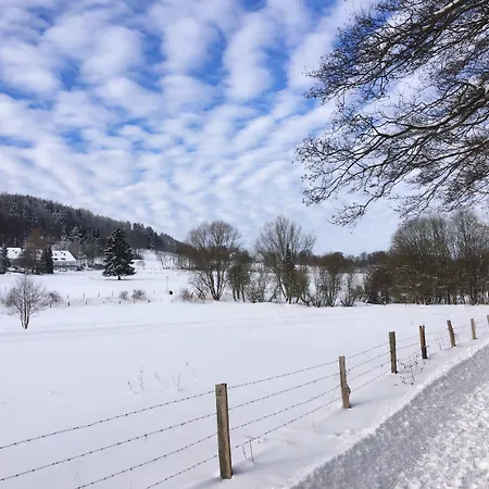 & Edelweiss Hotel Willingen (Upland)