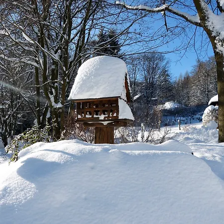 & Edelweiss Hotel Willingen (Upland)