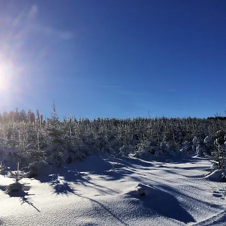 & Edelweiss Willingen (Upland)
