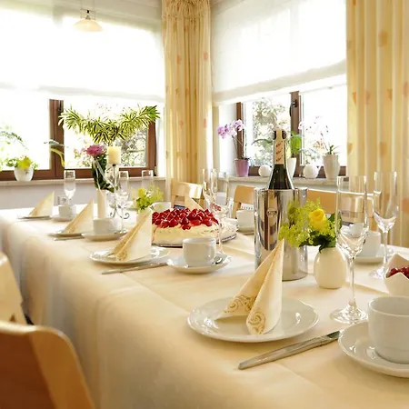 Hotel & Edelweiss Willingen (Upland)