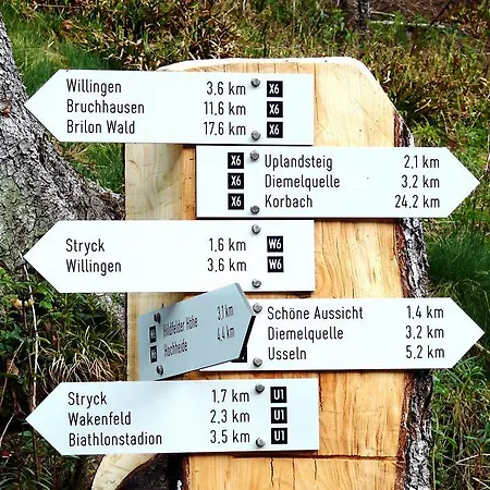 Hotel & Edelweiss Willingen (Upland)