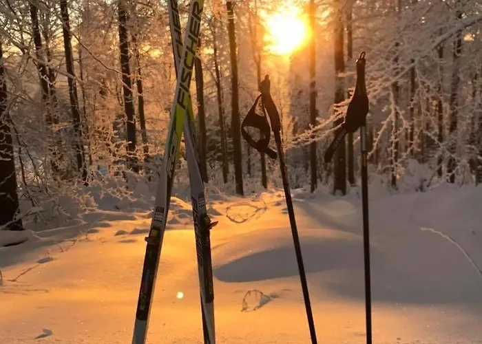 Hotel & Ferienappartements Edelweiss Willingen (Upland)