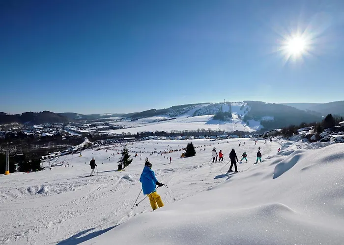 & Ferienappartements Edelweiss Hotel Willingen (Upland)
