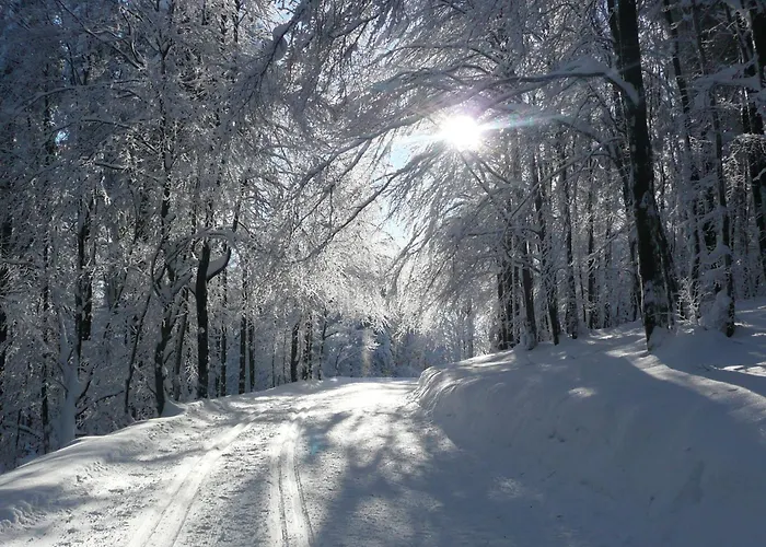 Hotel&ferienappartements Edelweiss Hotel 4*