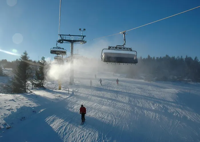 Hotel&ferienappartements Edelweiss 4* Willingen (Upland)