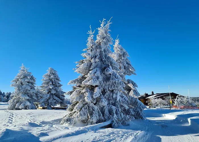 Hotel&ferienappartements Edelweiss