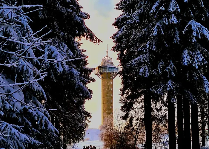 Hotel&ferienappartements Edelweiss 4* Willingen (Upland)