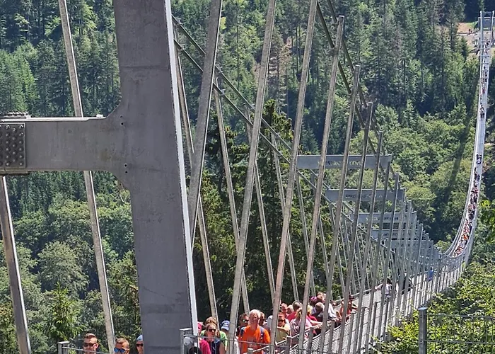 & Ferienappartements Edelweiss Hotel Willingen (Upland)