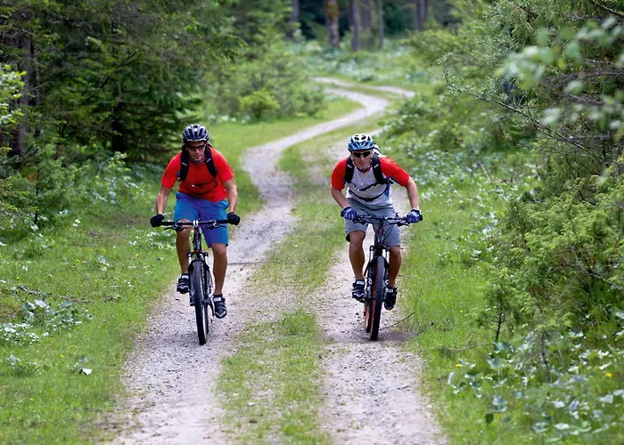 Hotel Hotel&ferienappartements Edelweiss 4*