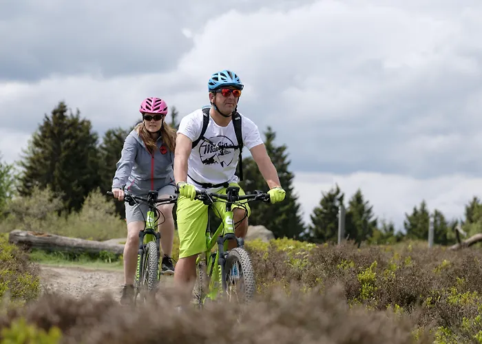 Hotel Hotel&ferienappartements Edelweiss Willingen (Upland)