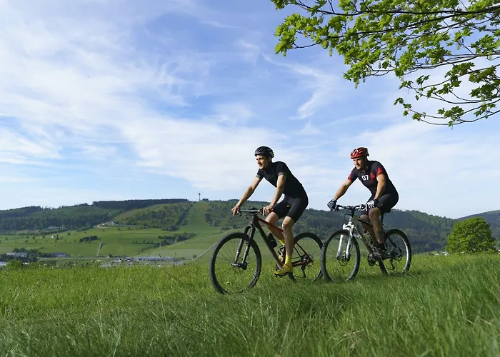 Hotel&ferienappartements Edelweiss 4* Willingen (Upland)