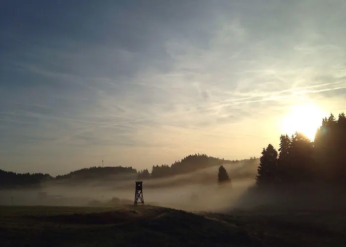 Hotel&ferienappartements Edelweiss Hotel 4*