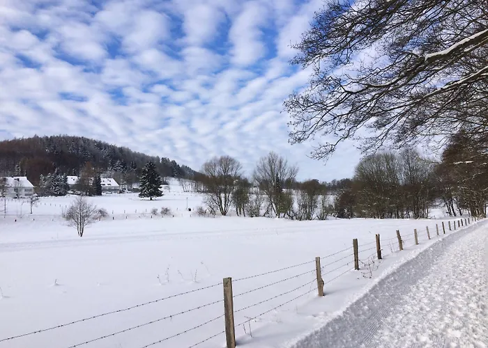 Hotel&ferienappartements Edelweiss Hotel Willingen (Upland)