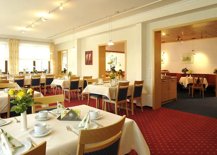 Hotel&ferienappartements Edelweiss Hotel Willingen (Upland)