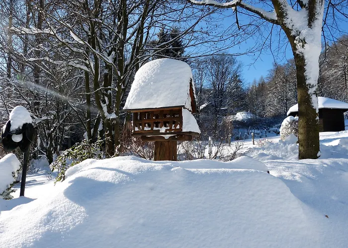 & Ferienappartements Edelweiss Hotel Willingen (Upland)