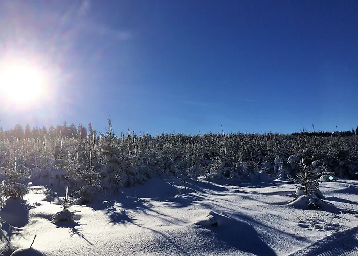 Hotel&ferienappartements Edelweiss Willingen (Upland)