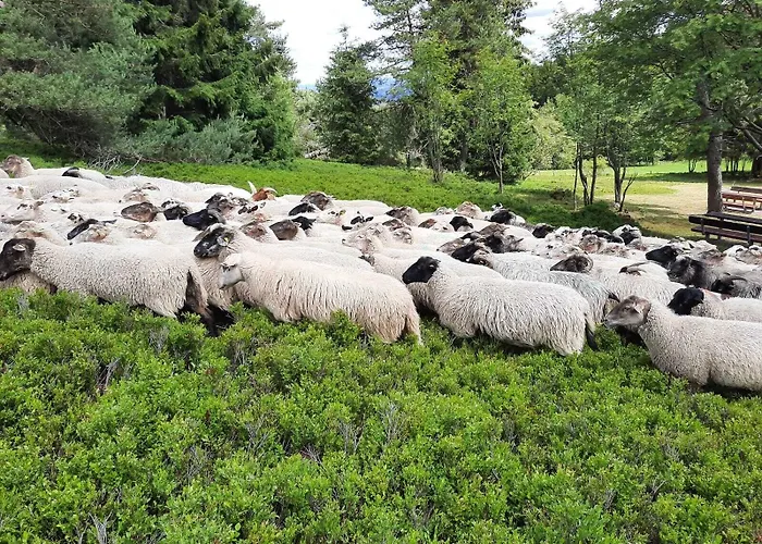 Hotel Hotel&ferienappartements Edelweiss