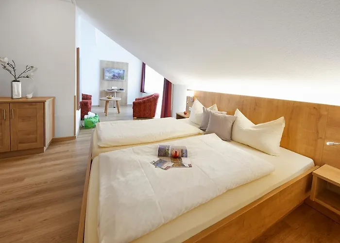 Hotel&ferienappartements Edelweiss 4* Willingen (Upland)